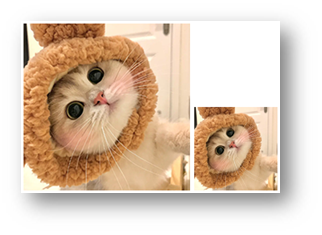 行内块元素特点