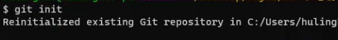 重复执行 git init 的提示